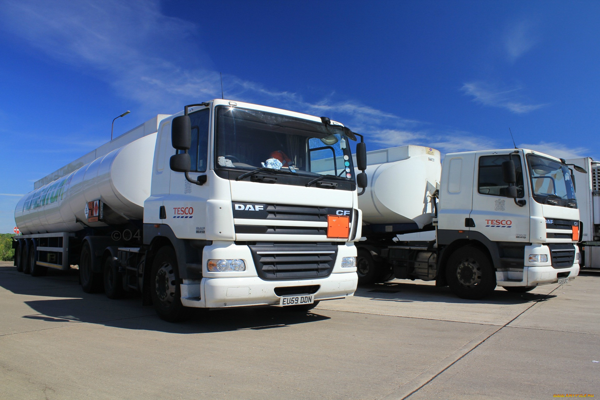 daf, , , , , , , trucks, nv